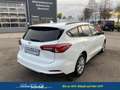 Ford Focus Turnier Cool & Connect 1,0 Ltr. - 125 PS EcoBoo... Weiß - thumbnail 5