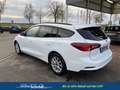 Ford Focus Turnier Cool & Connect 1,0 Ltr. - 125 PS EcoBoo... Weiß - thumbnail 3