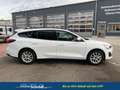 Ford Focus Turnier Cool & Connect 1,0 Ltr. - 125 PS EcoBoo... Weiß - thumbnail 6