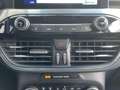 Ford Kuga 2.5 PHEV Titanium AUT NAVI Winter Paket Schwarz - thumbnail 30
