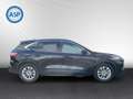 Ford Kuga 2.5 PHEV Titanium AUT NAVI Winter Paket Schwarz - thumbnail 4