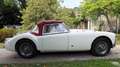 MG MGA 1600 Mark I Roadster Білий - thumbnail 6