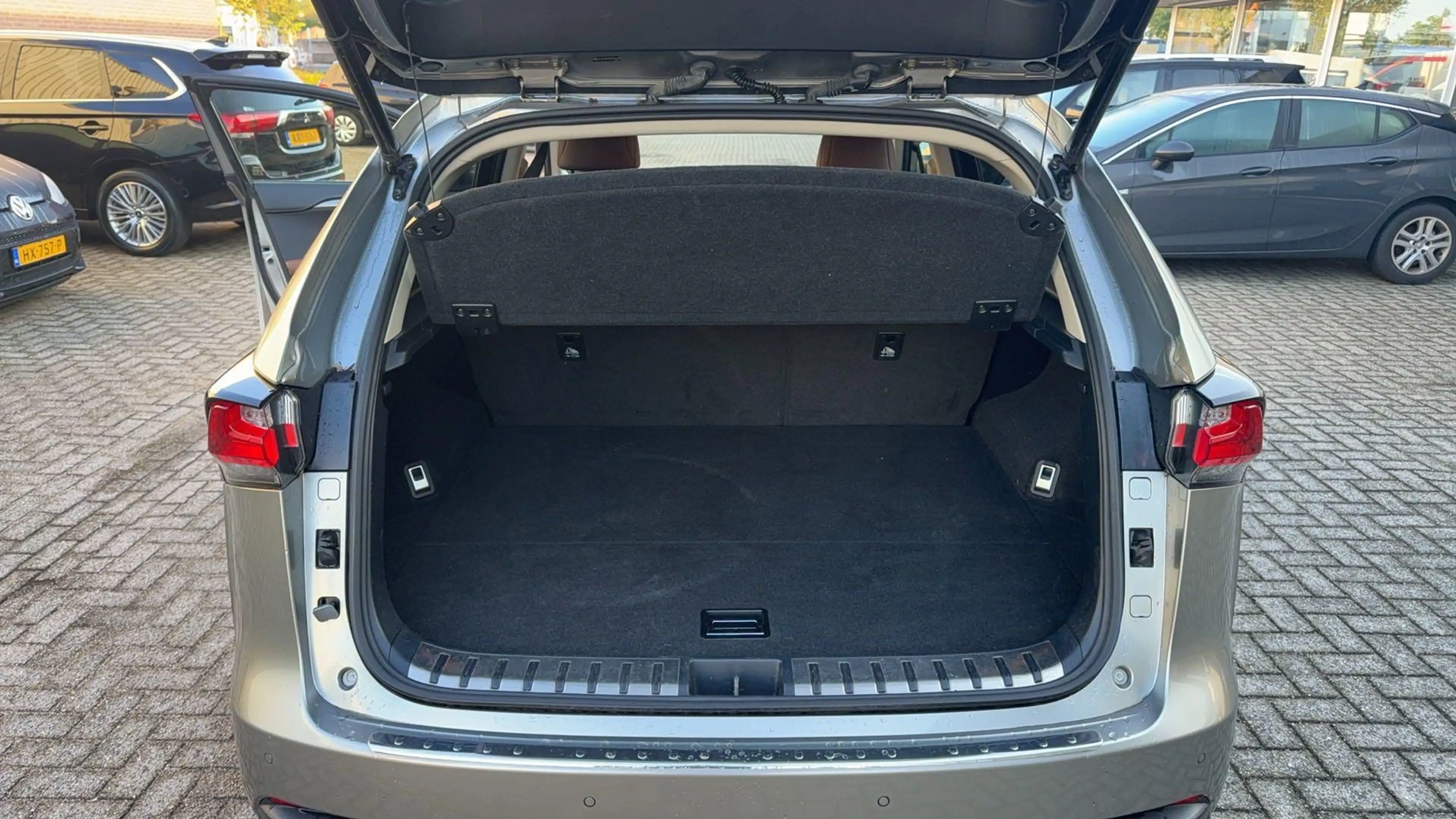 Lexus NX 300h AWD Luxury Line Leder/Winterset — photo 14