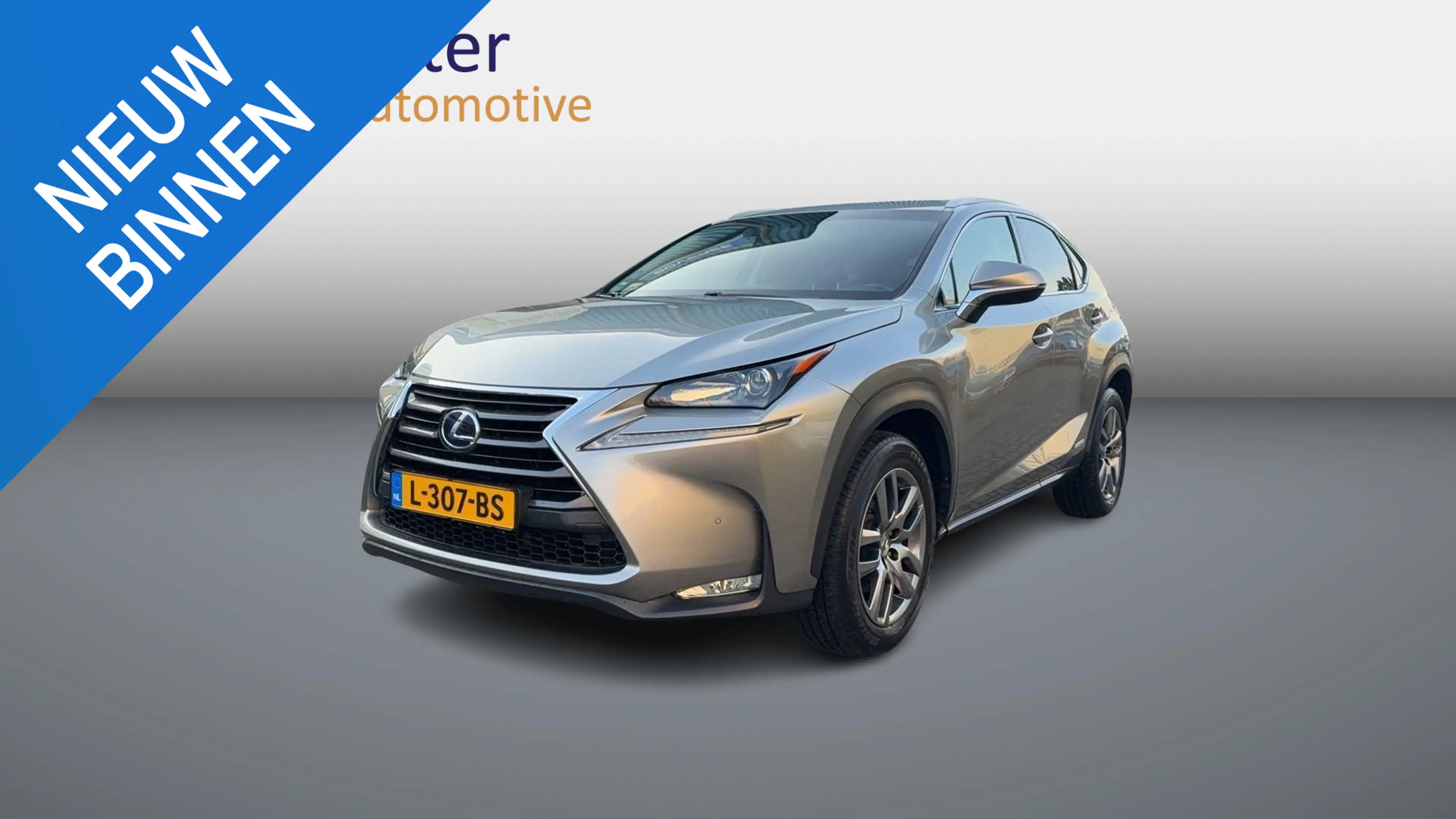 Lexus NX 300h AWD Luxury Line Leder/Winterset