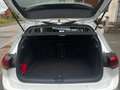 Volkswagen Golf Golf 8 Style 1,4 eHybrid 204cv DSG PHEV Wit - thumbnail 6