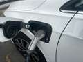 Volkswagen Golf Golf 8 Style 1,4 eHybrid 204cv DSG PHEV Wit - thumbnail 10