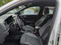 Volkswagen T-Roc 2.0 TSI RLine DSG Weiß - thumbnail 13