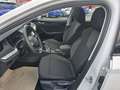 Skoda Octavia Kombi 2,0 TDI Selection Weiß - thumbnail 7