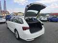 Skoda Octavia Kombi 2,0 TDI Selection Weiß - thumbnail 9