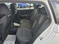 Skoda Octavia Kombi 2,0 TDI Selection Weiß - thumbnail 8