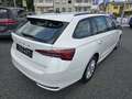 Skoda Octavia Kombi 2,0 TDI Selection Weiß - thumbnail 2