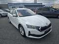 Skoda Octavia Kombi 2,0 TDI Selection Weiß - thumbnail 1
