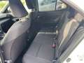 Toyota Yaris Cross - 1,5 l 4x2 HY  Active Drive Weiß - thumbnail 10