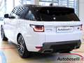 Land Rover Range Rover SPORT 3.0 SDV6 249CV HSE BLACK-PACK AUTOMATICA Blanc - thumbnail 20