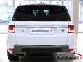 Land Rover Range Rover SPORT 3.0 SDV6 249CV HSE BLACK-PACK AUTOMATICA Blanc - thumbnail 13