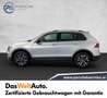 Volkswagen Tiguan Sky TSI 4MOTION DSG Grau - thumbnail 3