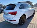 Audi Q5 Q5 3.0 V6 TDI quattro S tronic 239 CV S-LINE .TETT Blanc - thumbnail 6