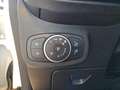 Ford Fiesta 1.0 EcoBoost Active Klima SHZ SYNC3 PDC Biały - thumbnail 19