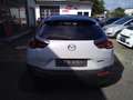 Mazda MX-30 e-Skyactiv  AUTOMATIK + LED + HuD + NAVI Weiß - thumbnail 18