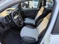 Fiat Panda Cross 1.0 FireFly S&S Hybrid CROSS no obblig. di f Blanc - thumbnail 12