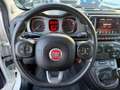 Fiat Panda Cross 1.0 FireFly S&S Hybrid CROSS no obblig. di f Blanc - thumbnail 13
