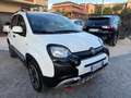 Fiat Panda Cross 1.0 FireFly S&S Hybrid CROSS no obblig. di f Blanc - thumbnail 5