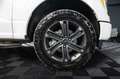 Ford F 150 F150 5.0L V8 4x4 Offroad Sport Unfallfrei 19%VAT Blanc - thumbnail 16