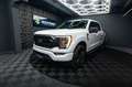 Ford F 150 F150 5.0L V8 4x4 Offroad Sport Unfallfrei 19%VAT Blanc - thumbnail 2