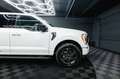 Ford F 150 F150 5.0L V8 4x4 Offroad Sport Unfallfrei 19%VAT Blanc - thumbnail 15