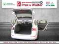 Volkswagen Golf VIII Variant 2.0 TDI 7-DSG Active LED+NAVI Zilver - thumbnail 22