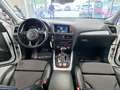 Audi Q5 2.0 TDI 190 CV cl.d. quattro S tr. S LINE Bianco - thumbnail 14