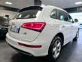 Audi Q5 2.0 TDI 190 CV cl.d. quattro S tr. S LINE Bianco - thumbnail 7