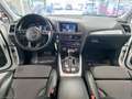 Audi Q5 2.0 TDI 190 CV cl.d. quattro S tr. S LINE Bianco - thumbnail 10