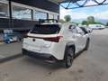 Lexus UX 250h 2.0 Executive Blanco - thumbnail 3