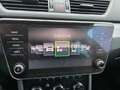 Skoda Superb Kombi 1,6 TDI Ambition Grau - thumbnail 14