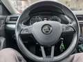 Skoda Superb Kombi 1,6 TDI Ambition Grau - thumbnail 8