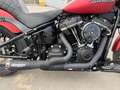 Harley-Davidson Street Bob Piros - thumbnail 11