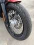 Harley-Davidson Street Bob Piros - thumbnail 10