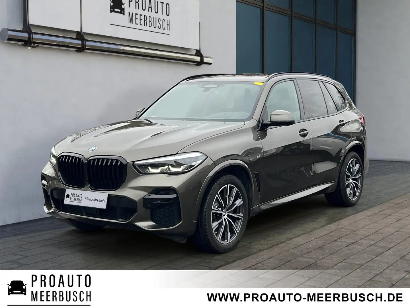 BMW X5 xDrive 30d M Sport AHK/ACC/HUD/PANO/STNDHZNG Grau - 1