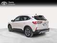 Ford Kuga 1.5 EcoBoost Titanium FWD 150 Blanco - thumbnail 2
