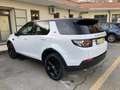 Land Rover Discovery Sport Discovery Sport N1 autocarro Bianco - thumbnail 6