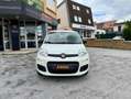 Fiat Panda 1.2 70 POP 4.0 CV DISTRI FAITE Blanc - thumbnail 2