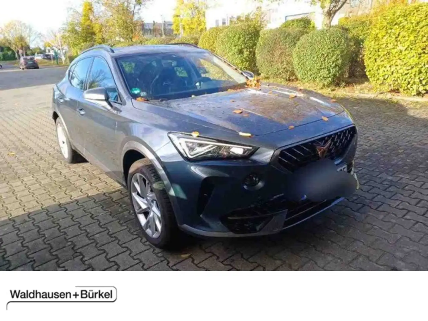 CUPRA Formentor 1.5 TSI DSG Kamera Klima Rückfahrkamera - 1