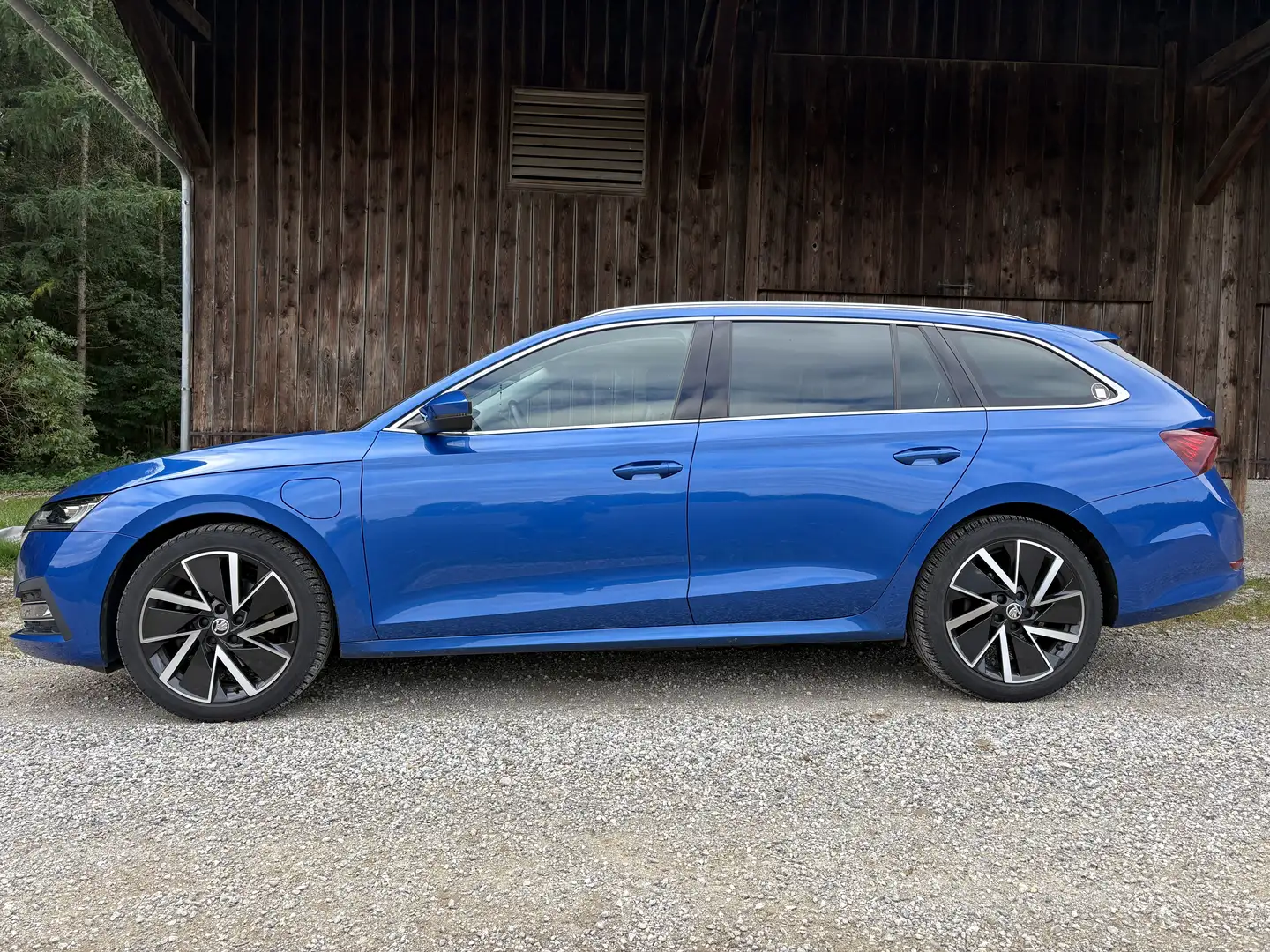 Skoda Octavia First Edition iV Blau - 2