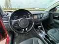 Kia Niro Niro 1.6 gdi hev Energy dct Roşu - thumbnail 12