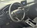 Ford Focus Titanium X 2.0 EcoBlue Autom. LED ACC AHK Grau - thumbnail 8