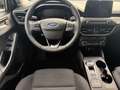Ford Focus Titanium X 2.0 EcoBlue Autom. LED ACC AHK Grau - thumbnail 10