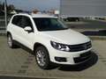 Volkswagen Tiguan Tiguan 2.0 TDI DPF BlueMotion Technology Sport Weiß - thumbnail 3