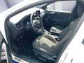 Ford Focus Turnier 1.0 MHEV ST-LINE X *LED*ACC*Kamera* Weiß - thumbnail 8