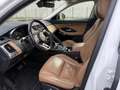 Jaguar E-Pace 2.0D 163 CV AWD aut. Sport Gris - thumbnail 6